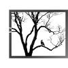 Krähe im Baum - Shirt - Geschenk
