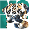 Mops Portrait