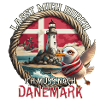 Dänemark - lasst mich durch - Möwe - Leuchtturm