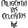 DVC IPSC 2