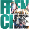 French Bulldog Portrait