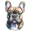 French Bulldog Portrait