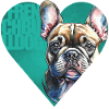 French Bulldog Portrait