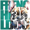 French Bulldog Portrait