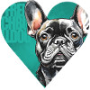 Portrait de bouledogue français