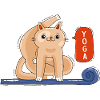 Cat and Yoga