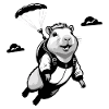 Capybara Skydiver Skydiving
