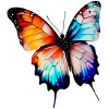 Schmetterling Aquarell