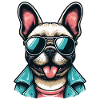 Stylish Frenchie