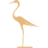 Graceful elegance
