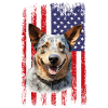 Australian Cattle Dog