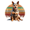 Australian Cattle Dog