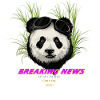 Breaking News New Panda