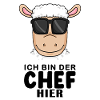 Chef Spruch mit Schaf Motiv