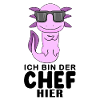 Chef Spruch mit Axolotl Motiv