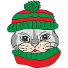 Chat mignon