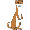 Humor little weasel