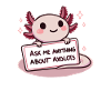 Ask me anything about axolotls