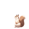 Bird Feeder Squirrel