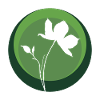Botany Botany Botany