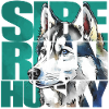 Siberian Husky Portrait