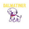 Hund Dalmatiner