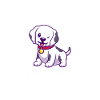 Hund Dalmatiner