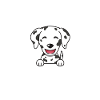 Hund Dalmatiner