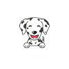 Hund Dalmatiner
