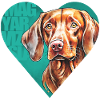 Magyar Vizsla Portrait