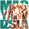 Magyar Vizsla Portrait