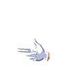 Endoscopy Proctologist Endo