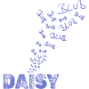 Daisy