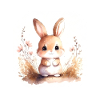 Aquarelle de lapin