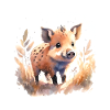 Sanglier Porcelet Aquarelle