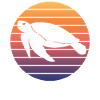 Sea Turtle Silhouette Sunset