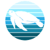 Ocean Tranquility Turtle Evening Mood
