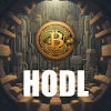 Hodl Bitcoin Krypto Blockchain Design