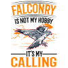 Falcon Hobby Falconry Kestrel