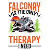 Falcon Therapy Falconry Kestrel