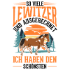 Lewitzer Pferd Reiterin