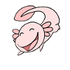 Axolotl Motif Kids Cute