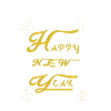 Handwritten - Happy New Year