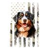 bernese mountain dog