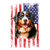 bernese mountain dog