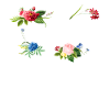 Doula Naissance Travailleur Fleur