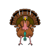 Turkeys Turkey Thanksgiving