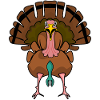 Turkey Turkeys Thanksgiving