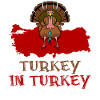 Turkey in Turkey
