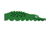 Alligator's Alligator